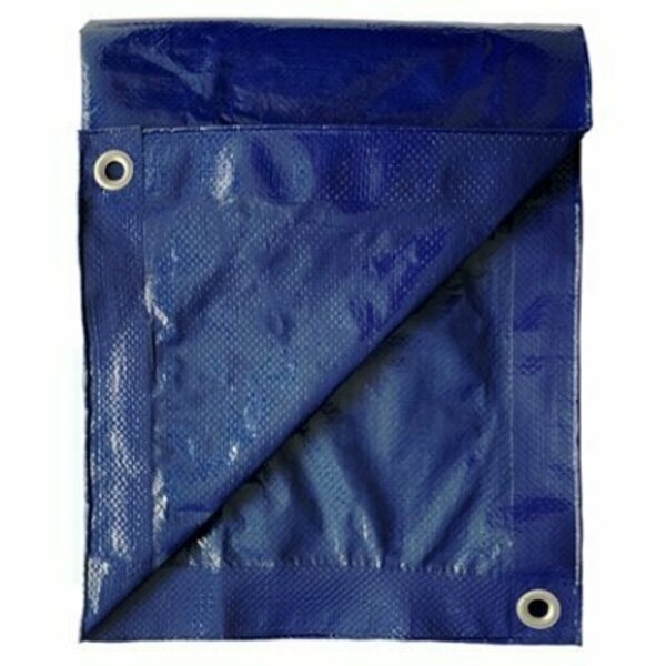 Hangzhou Ruiyu Industrial Tarp, Blue, Polyethylene KT-MT0810B